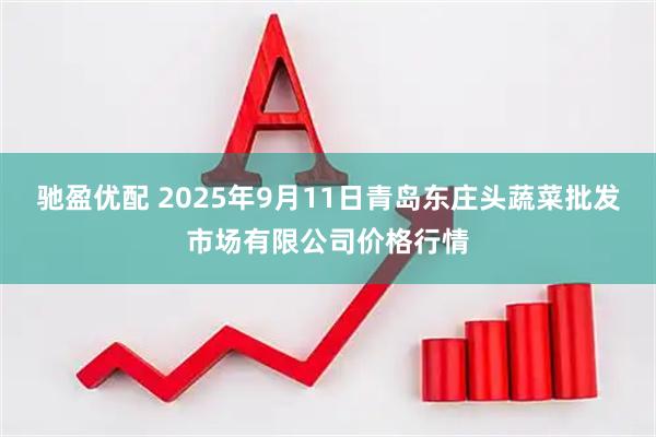 驰盈优配 2025年9月11日青岛东庄头蔬菜批发市场有限公司价格行情