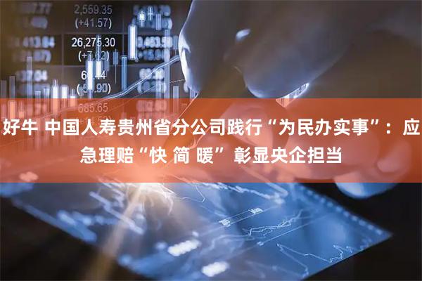 好牛 中国人寿贵州省分公司践行“为民办实事”：应急理赔“快 简 暖” 彰显央企担当