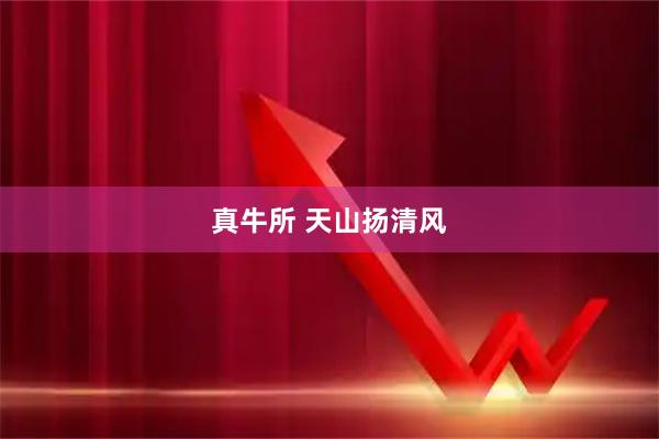 真牛所 天山扬清风