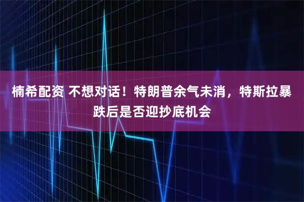 楠希配资 不想对话！特朗普余气未消，特斯拉暴跌后是否迎抄底机会