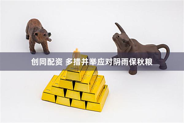 创同配资 多措并举应对阴雨保秋粮