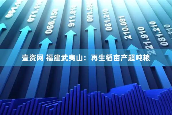 壹资网 福建武夷山：再生稻亩产超吨粮