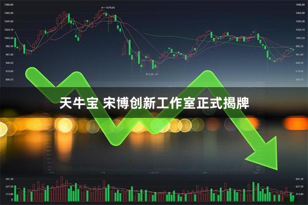 天牛宝 宋博创新工作室正式揭牌