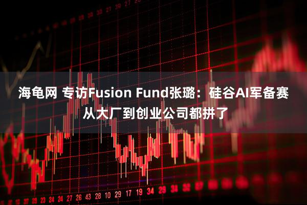 海龟网 专访Fusion Fund张璐：硅谷AI军备赛 从大厂到创业公司都拼了